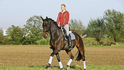 CAV-0112-Medizin-News-Ausritt-Winter-Fruehling (jpg)