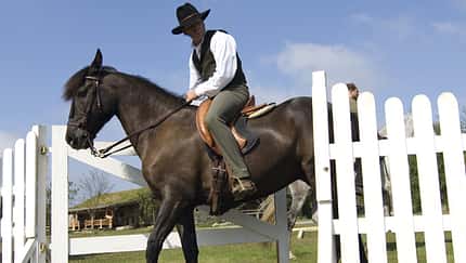 CAV Working Equitation