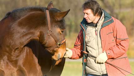 CAV 0108 Gurutest - Gorgi mit Pferd