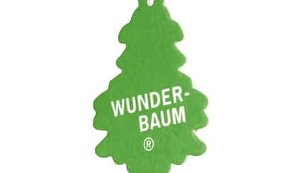 CAV_in_aller_Frische_Baum