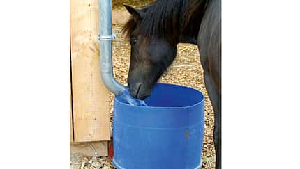 CAV Regenwasser Pferde tränken 2