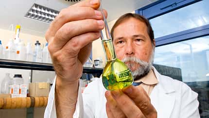 CAV Regenwasser Pferde tränken 1
