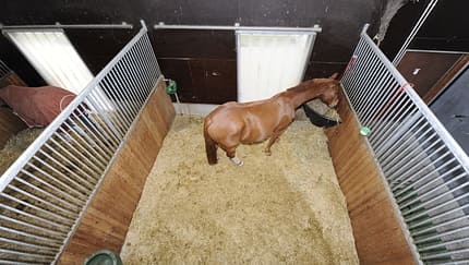 CAV Überwachung Stall