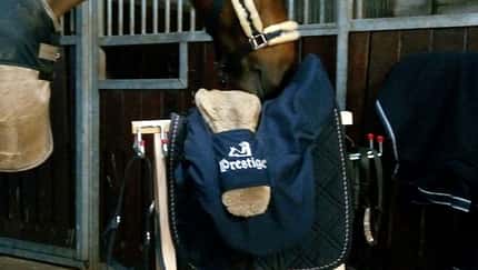 CAV Bastelecke Sattel-Butler Leserbrief