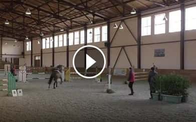 CAV Pferd springt Parcours ohne Reiter Springen CAV Pferd springt Parcours ohne Reiter Springen