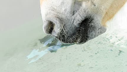 cav-201906-wasserqualitaet-lir9278-mit-TEASER-v-amendo (jpg)