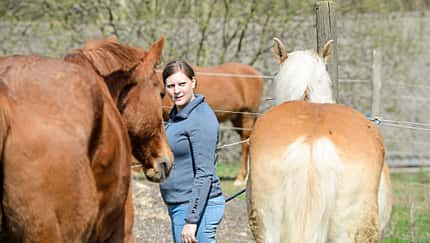 CAVALLO-Coach