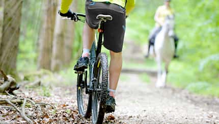 CAVALLO Wir im Wald, Knigge im Wald Knigge im Wald