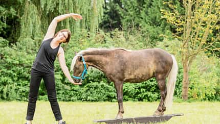 Fit mit Obst - Pilates