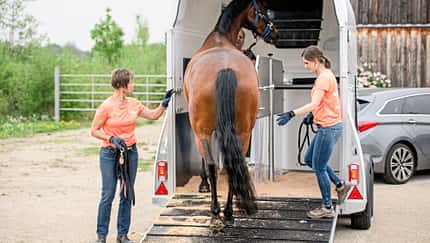 CAVALLO Coach