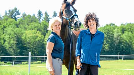 CAVALLO hautnah