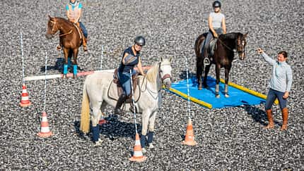 Working Equitation