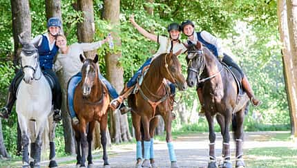 Working Equitation
