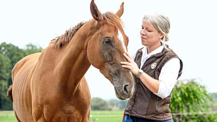 Von der Rennbahn in den Busch „Duke of Anzing“