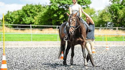 Working Equitation