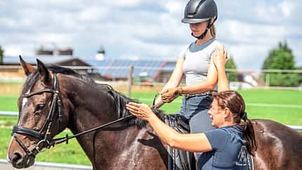 Working Equitation 