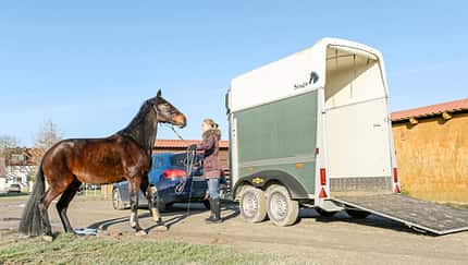 Cavallo Coach