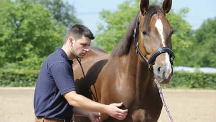 GOT auf dem Prüfstand