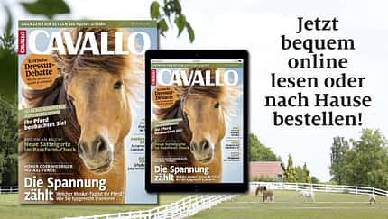 CAVALLO digital inklusive Wunsch-Gutschein