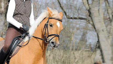 Unerkannt krank