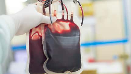 Red blood bag in hand scientist over white background in laboratory.