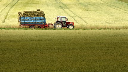 Heu Heuernte Die Folgen des Klimawandels