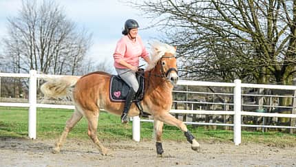 CAVALLO Coach