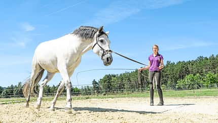Kurze Trainings