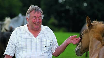Klaus Zeeb, Pferdeverhalten, Alpha-Tier CAVALLO besuchte Prof. Zeeb 1997 zuhause in Stuttgart