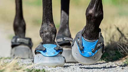 Test Hufschuhe
