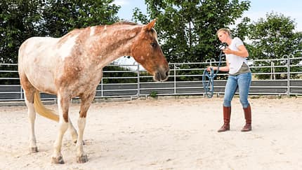 Roundpen