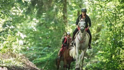 Ausprobiert: CAVALLO-Redakteurin Lisa Rädlein probierte für unsere Reihe "Lisa in fremden Sätteln" dieses Mal den Distanzsattel aus.