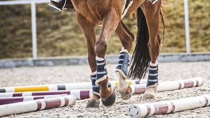 Pferd mit Reiter, das auf einem Außenplatz über Stangen geht