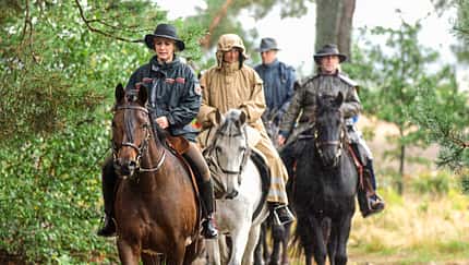 Reiten bei Regen? Das sollten Sie beachten