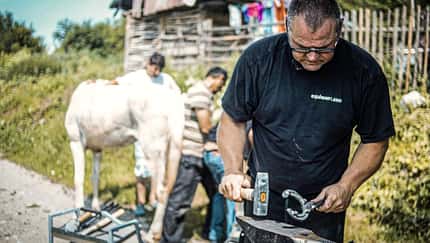CAVALLO hautnah Markus Raabe