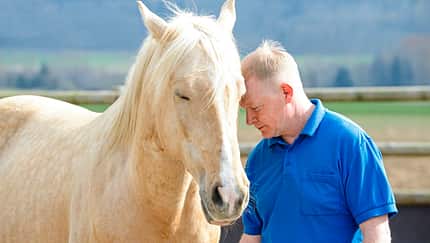 Dösen mit dem Pferd