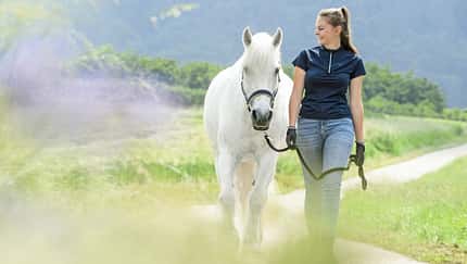 Zu Fuß unterwegs mit Pferd