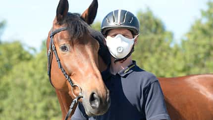 Sind Curly Horses geeignet für Allergiker?
