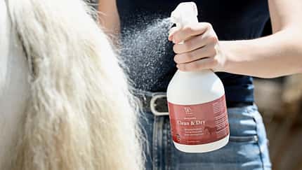 Trockenshampoos im Tests