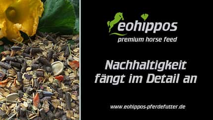 Pferdefutter ohne Füllstoffe