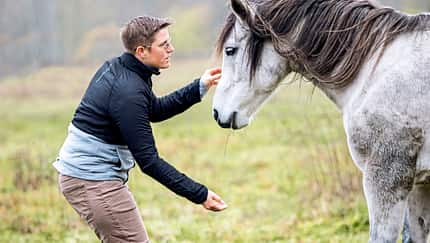 Konzept Horse Speak