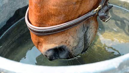Wasser-Test