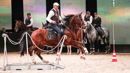 Die Equitana wird 50 Jahre alt!