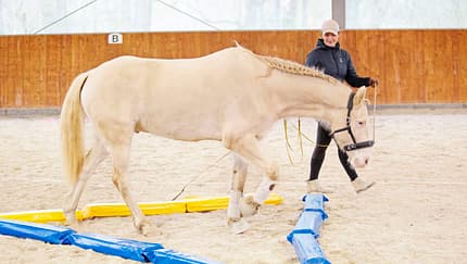 Tragkraft-Training
