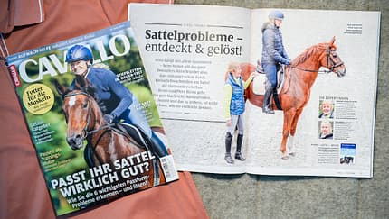 Die Themen im Mai