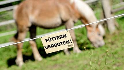 Streichelzoo