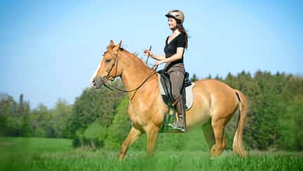 Notstopp reiten