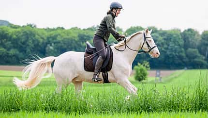 Serie Tragkraft-Training