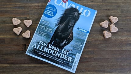 Die Themen im August