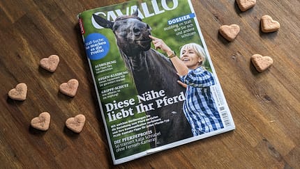 Die Themen im November
